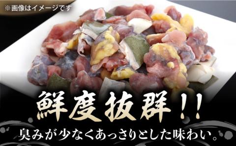 【全3回定期便】だし付き簡単！いつもの鍋が料亭級に大変身！？安心安全な国産の最高級食材！おうちですっぽん鍋 1人前 すっぽん 簡単 雑炊 鍋 高級＜平井興産株式会社＞江田島市[XAC008]