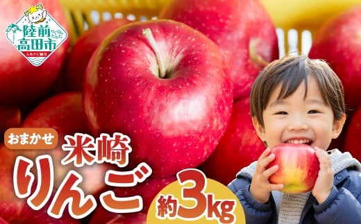 米崎 りんご 3kg 　≪品種おまかせ≫【 数量限定 リンゴ 林檎 りんご 9月 10月 11月 12月 青林 王林 ジョナゴールド シナノスイート 等  岩手 陸前高田 産地直送 新鮮 アップル 家