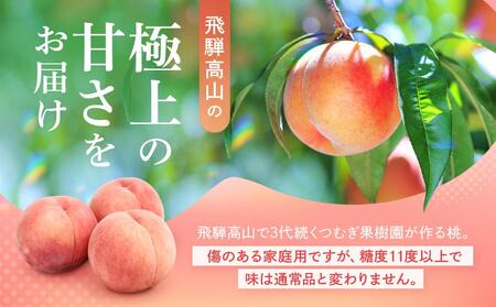  決済から3営業日程度で発送【訳あり】飛騨の桃（4-8玉) 糖度11度以上 品種おまかせ 訳あり｜桃 GH009