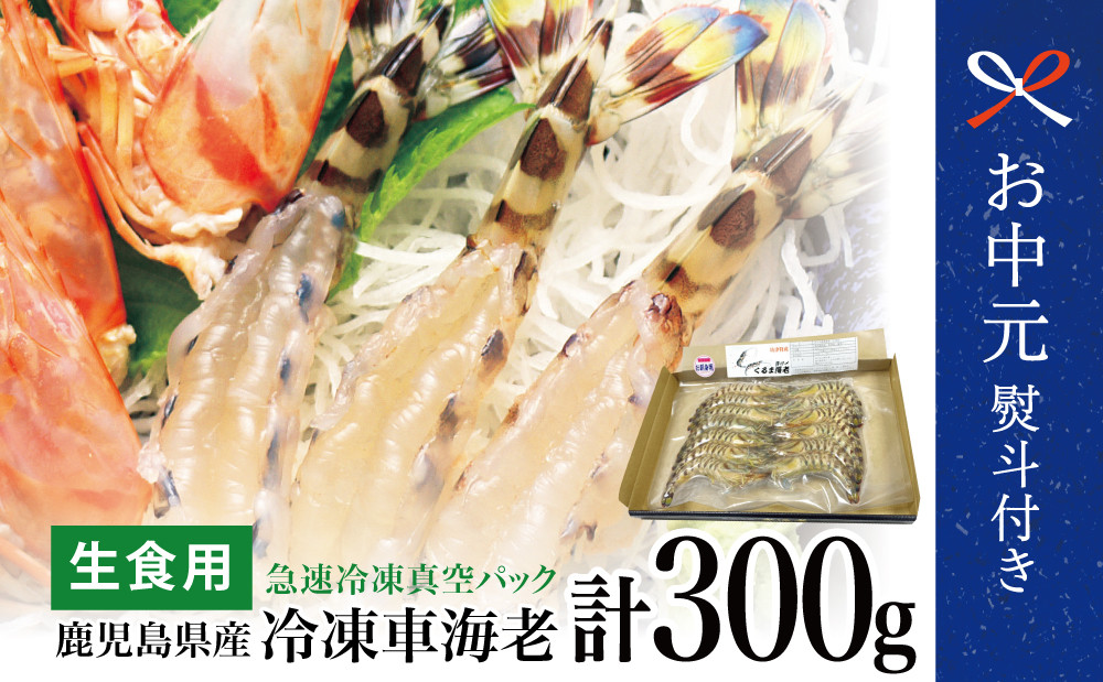 
            【お中元ギフト】鹿児島県産 活〆 冷凍車海老 300g（生食用） えび クルマエビ 海鮮 刺身 南さつま市 贈り物 ギフト 贈答用
          