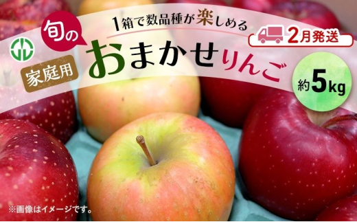 [№5554-0241]りんご 【 2月発送 】 家庭用 旬のりんご  品種おまかせ 約 5kg 2品種～4品種