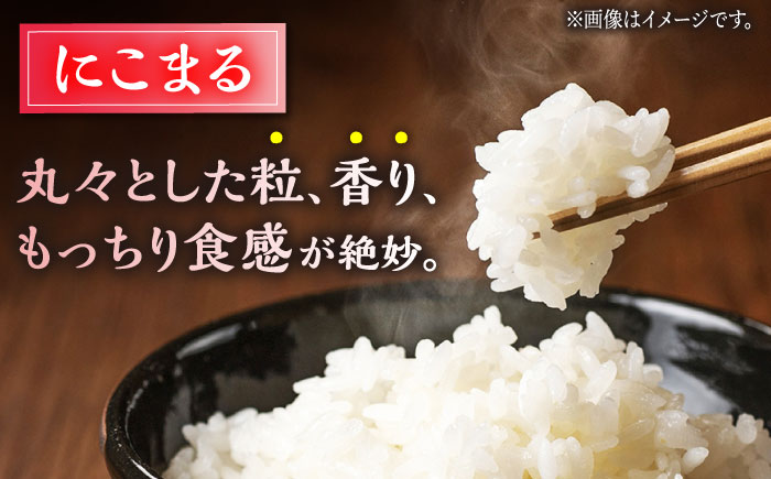 【3回定期便】 【数量限定】ヒノヒカリ・にこまる 白米 食べ比べ 計10kg（5kg×2袋）【竹下農園】 [ZEL011]