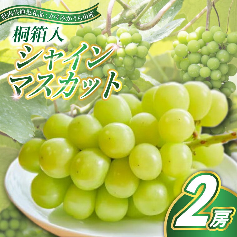 【ふるさと納税】シャインマスカット　桐箱入り2房(県内共通返礼品:かすみがうら市産)【配送不可地域：離島・沖縄県】 (BR089)