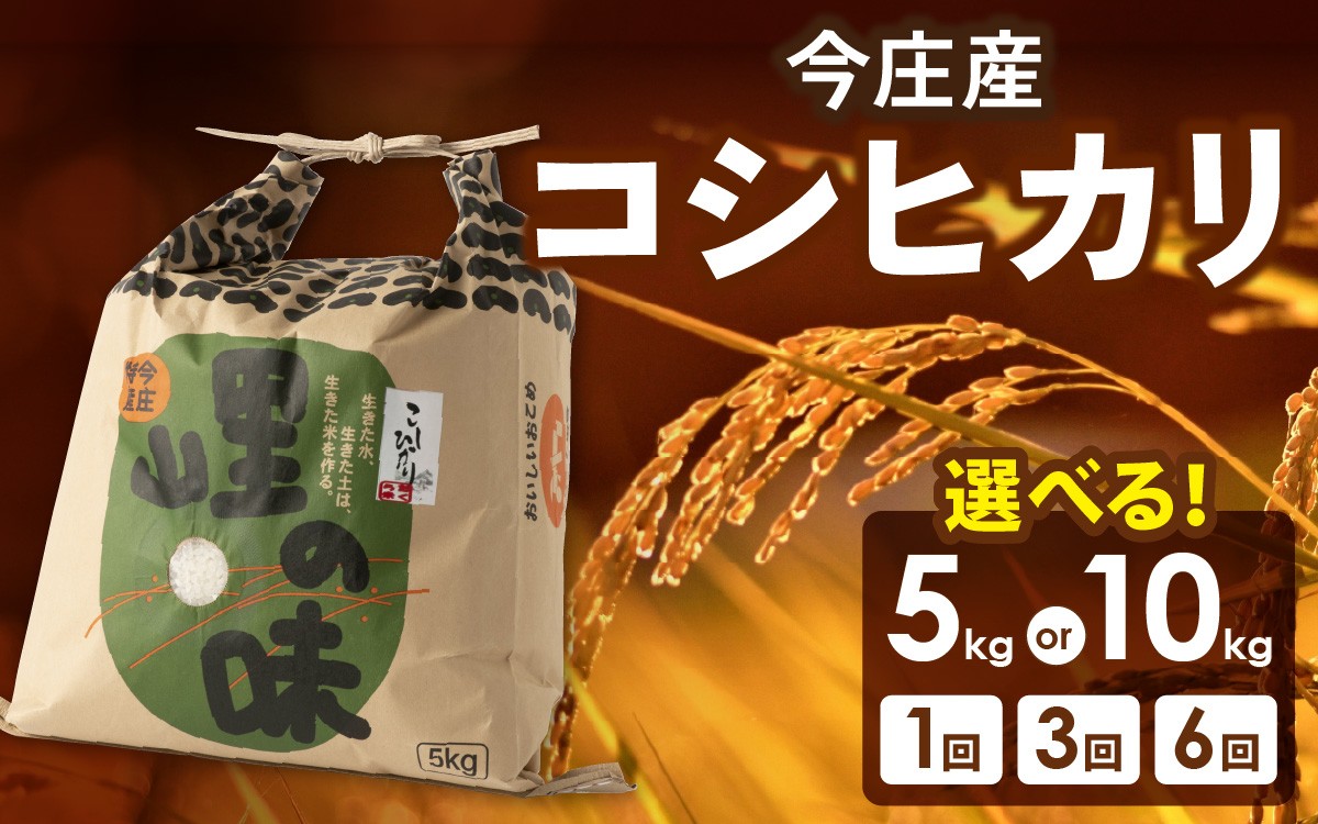 
            【令和7年産　新米 定期便 頒布会】【配送回数が選べる】朝夕の寒暖差が生む極旨のお米 今庄産 コシヒカリ 5kg  10kg こしひかり 福井 北陸 おこめ 10キロ 5キロ 3ヵ月 6か月 6ヵ月 3か月
          