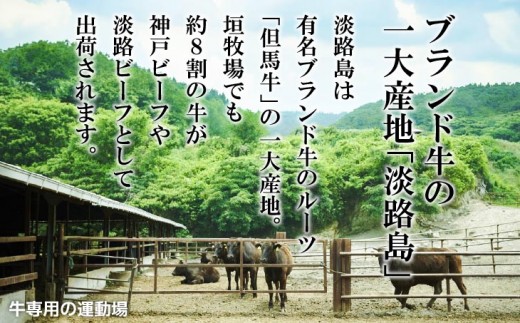 【数量限定】垣牧場直売「淡路姫和牛」切り落とし・たれ漬けセット 800g