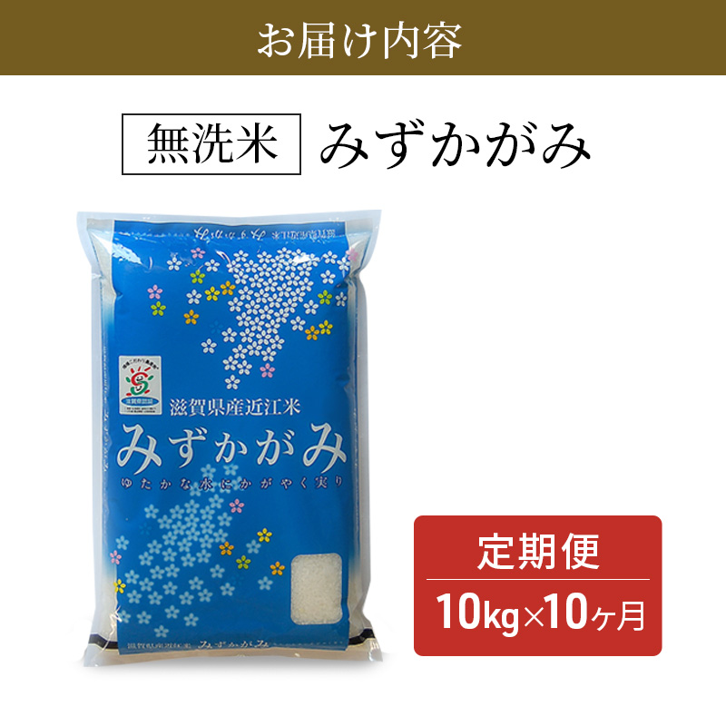 期間限定寄附額 米 定期便 10kg 10ヶ月 みずかがみ BG無洗米 令和7年産 無洗米