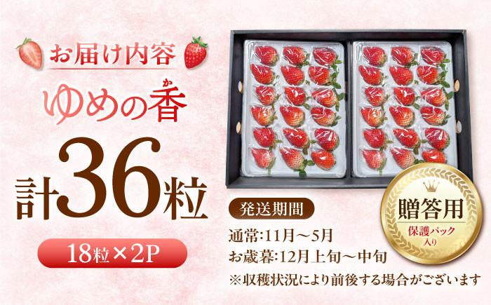 いちご イチゴ 苺 ゆめの香 ゆめのか 長崎県 ながさき 長崎 果物 くだもの フルーツ 贈答 プレゼント ギフト