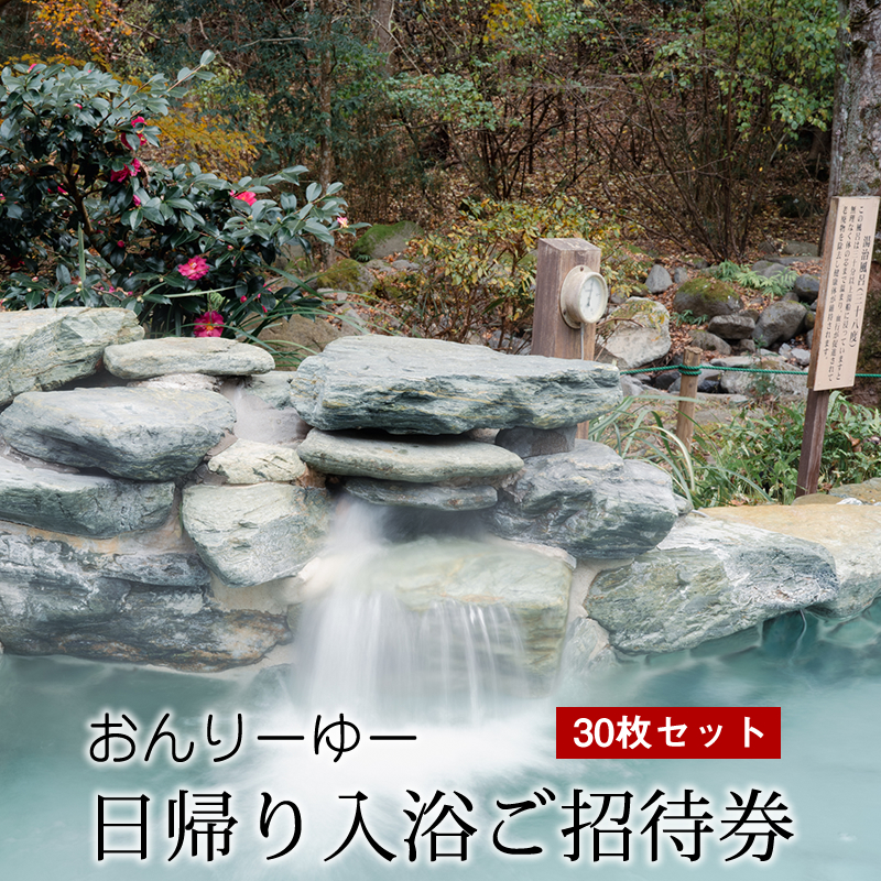 おんりーゆー 日帰り入浴ご招待券 30枚セット【温泉 サウナ お風呂 結婚記念日 敬老の日 ギフト プレゼント 利用券 神奈川県 南足柄市 】
