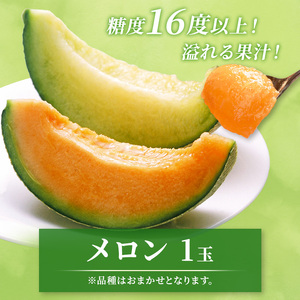 先行 予約 青森 メロン スイカ 各1玉 減農薬栽培 夏の味覚 減農薬 青肉 赤肉 青肉メロン 赤肉メロン フルーツ 果物 旬のフルーツ 旬の果物 旬 夏 レビュー 高評価 先行予約 2026 202
