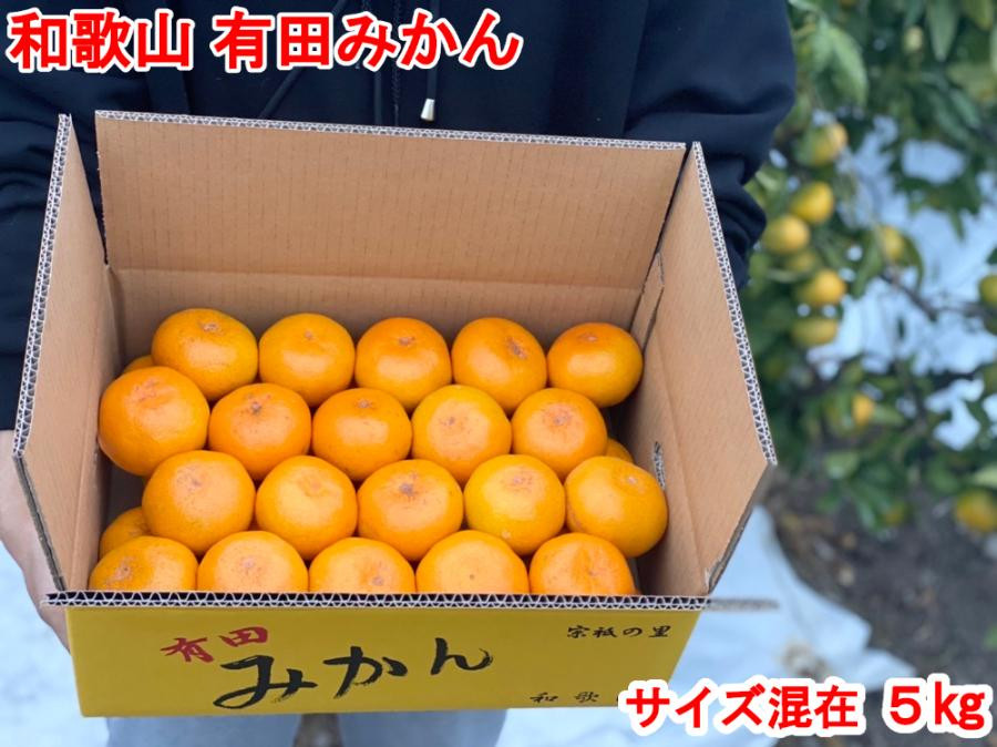 
            ［秀品・サイズMIX］まる隆果樹園　和歌山有田産！早生みかん≪5kg≫［予約販売］［数量限定］
          