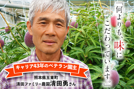 くまもと完熟マンゴー 5～6玉(約2kg～2.4kg前後) 熊本県玉名郡玉東町『清田ファミリー農園』マンゴー 完熟 秀品【日付指定不可】《5月下旬-8月末頃出荷》