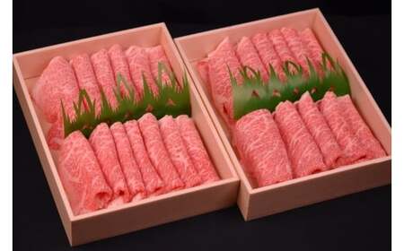 Y848 【8か月定期便】鳥取和牛赤身すき焼きしゃぶしゃぶ用1kg（500g×2） 