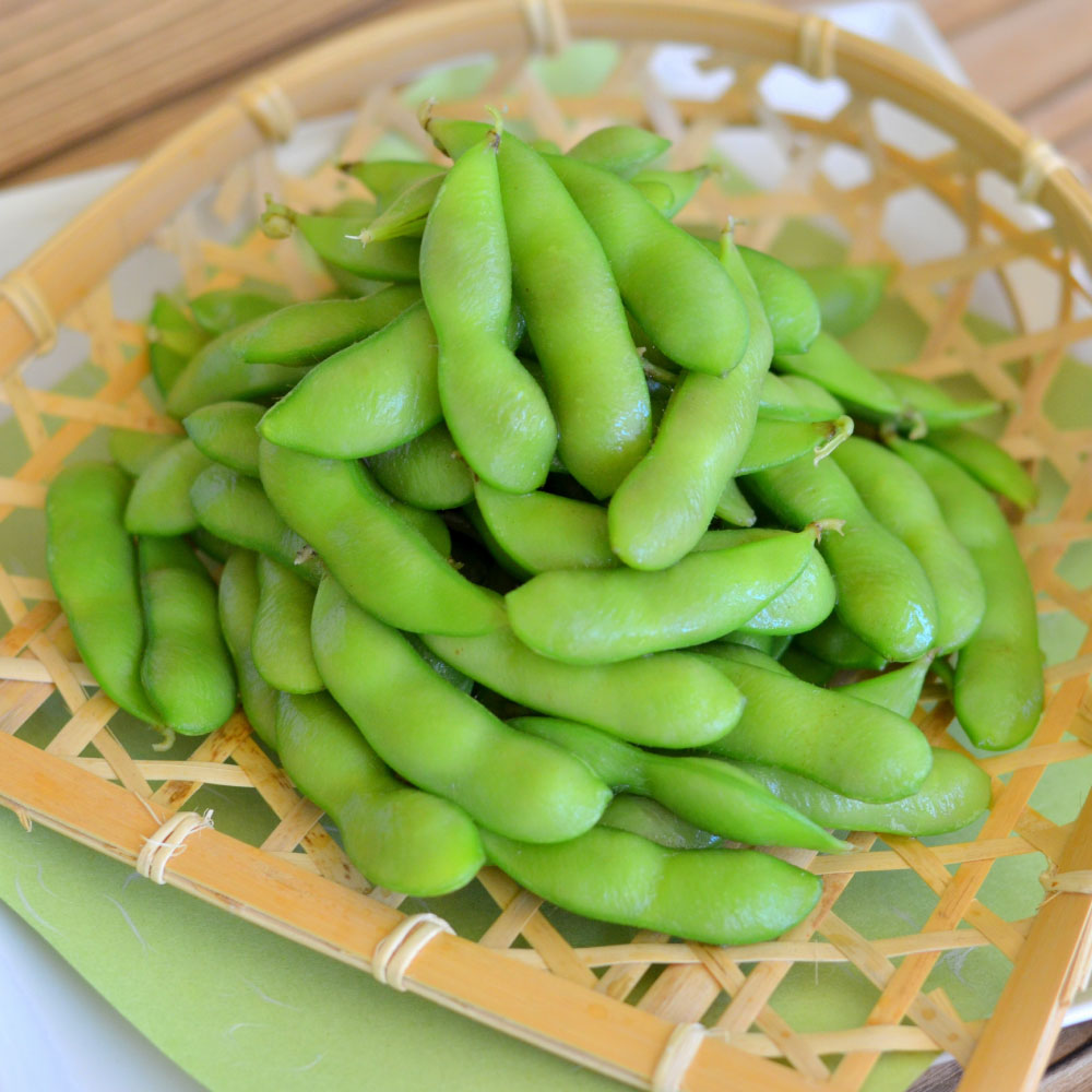 【ふるさと納税】えだまめ（秘伝） 約2kg（約250g×8）枝豆 大粒 豆類 豆 おつまみ 山形県産 送料無料【2025年9月下旬～10月上旬発送予定】