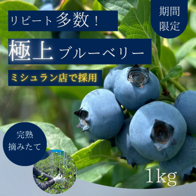 【極上】完熟 生ブルーベリー1kg【配送不可地域：離島】