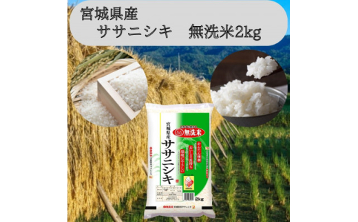 令和7年産　宮城県産＜ササニシキ＞無洗米2kg_米 ササニシキ 無洗米 宮城県産 ご飯 美味しい 人気 2kg【1545986】