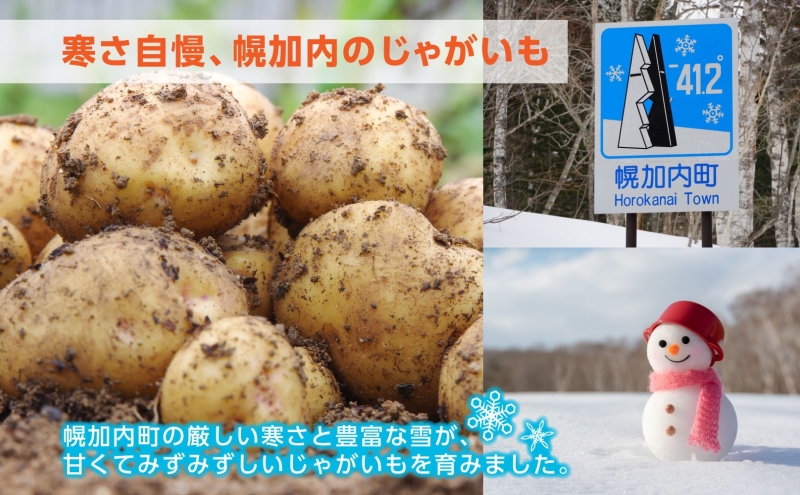 北海道産 訳あり 越冬 じゃがいも 男爵 M～2L 約10kg ジャガイ
