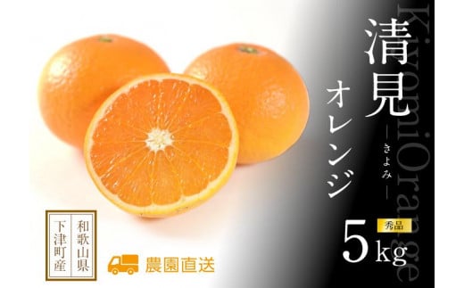 
                  和歌山県海南市「まごころ産直みかん」から産地直送 清見オレンジ 5kg 【赤秀】（M・L・２Lサイズおまかせ）
                