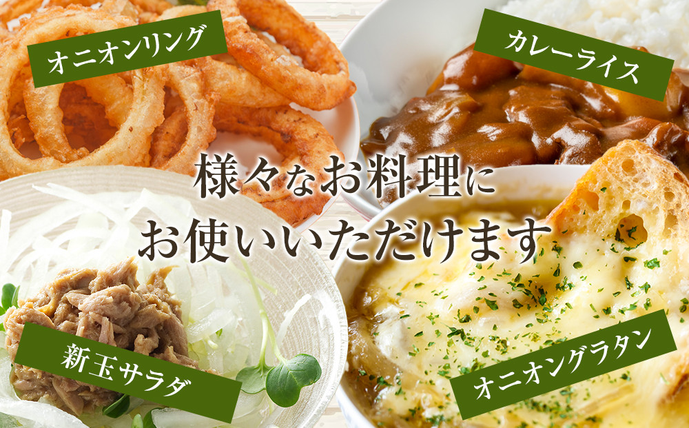 ［2026年発送分・先行予約］農家さん直送 低農薬玉ねぎ Sサイズ 10kg程度［4月中旬～7月中旬頃発送予定］［KF18］