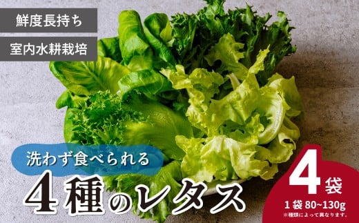 ＜洗わず食べられる・室内水耕栽培＞ 4種のレタス 4袋(80～130g/袋) | レタス フリルレタス グリーンリーフ サラダ菜 グリーンオーク 新鮮レタス オーガニック野菜 野菜直送 フレッシュ サラダ用野菜 健康志向 こだわり フレッシュ 産地直送 食品ギフト セット 緑黄色野菜 新鮮 安心野菜 旬 低カロリー レタスボウル カロテン 埼玉県 東松山市