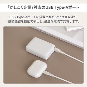 Owltech(オウルテック) USB Type-C入出力 PowerDelivery30W対応 10000mAh モバイルバッテリー OWL-LPB10020-BK ブラック