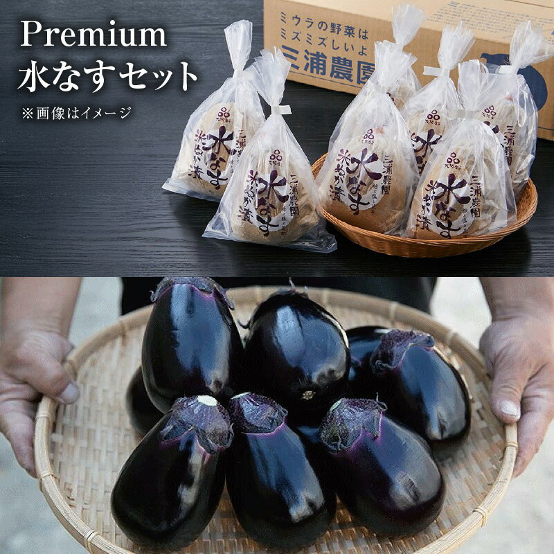 【ふるさと納税】Premium（プレミアム）水なすセット