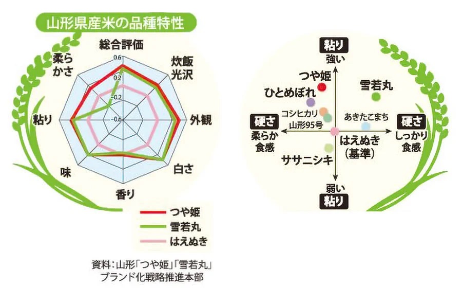 ササニシキ 精米 5kg×1袋　 庄内観光物産館