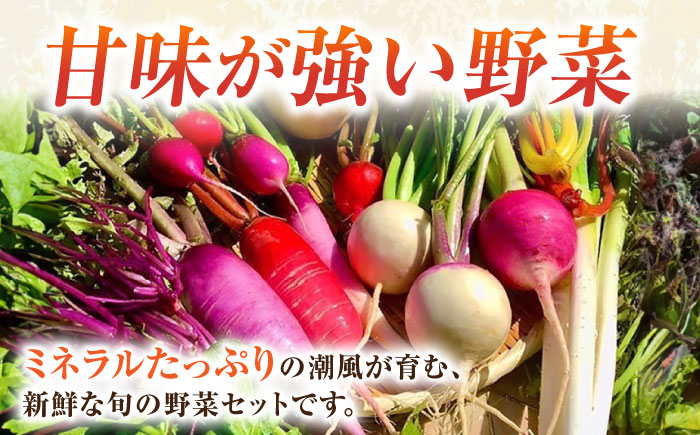 【全３回定期便】すずなり採れたて野菜BOX　(5～7品）【鈴也ファーム】 [AKCE011]