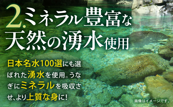 【6回定期便】【諫早淡水】うなぎ白焼き4尾  / うなぎ 白焼き 栄養価 小分け 冷凍 / 諫早市 / 諫早淡水 [AHAT049]