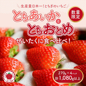 新旧2種食べ比べセット（とちおとめ、とちあいか）270g×4パック 1.08kg以上｜いちご イチゴ 苺 先行予約 栃木県 果物 くだもの フルーツ とちおとめ とちあいか 新鮮 贈答 ギフト 食べ比べ  ※2026年1月上旬～4月中旬頃に順次発送予定