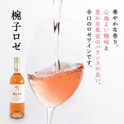 ふるさと納税 上田市 限定 ワイン 椀子ヴィンヤードを味わうお試し セット 2本 [54040427] |  | 01