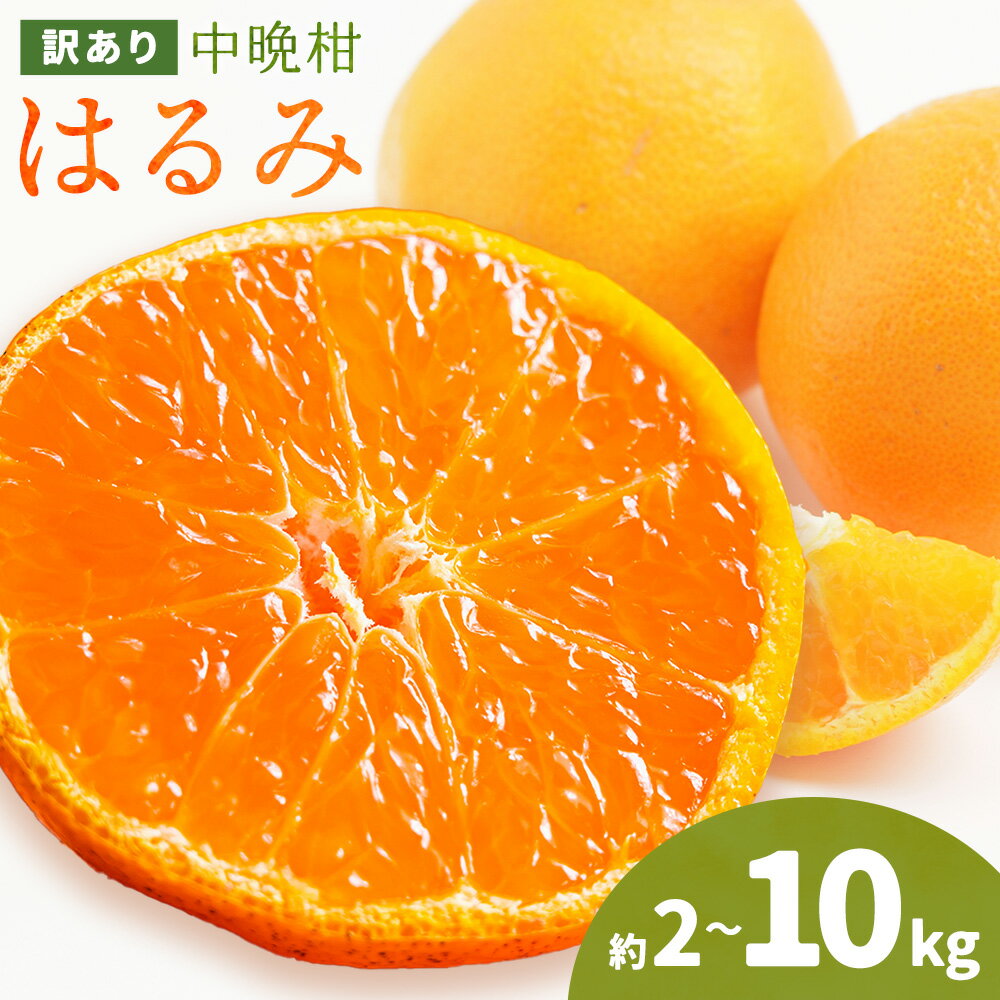 【ふるさと納税】みかん 訳あり 10kg 5kg 2kg 選べる内容量 中晩柑 はるみ みかん 石谷普朗《2月上旬-3月中旬頃出荷》和歌山県 岩出市 送料無料 果物 フルーツ 柑橘類 お取り寄せフルーツ ミカン