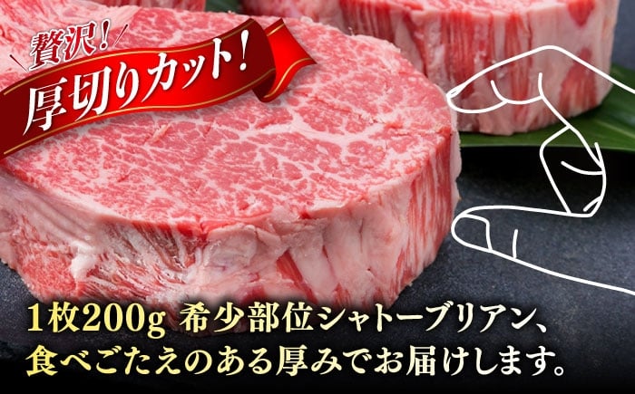 ヒレステーキ ステーキ ヒレ フィレ 牛肉 赤身 国産 肉 和牛  黒毛和牛