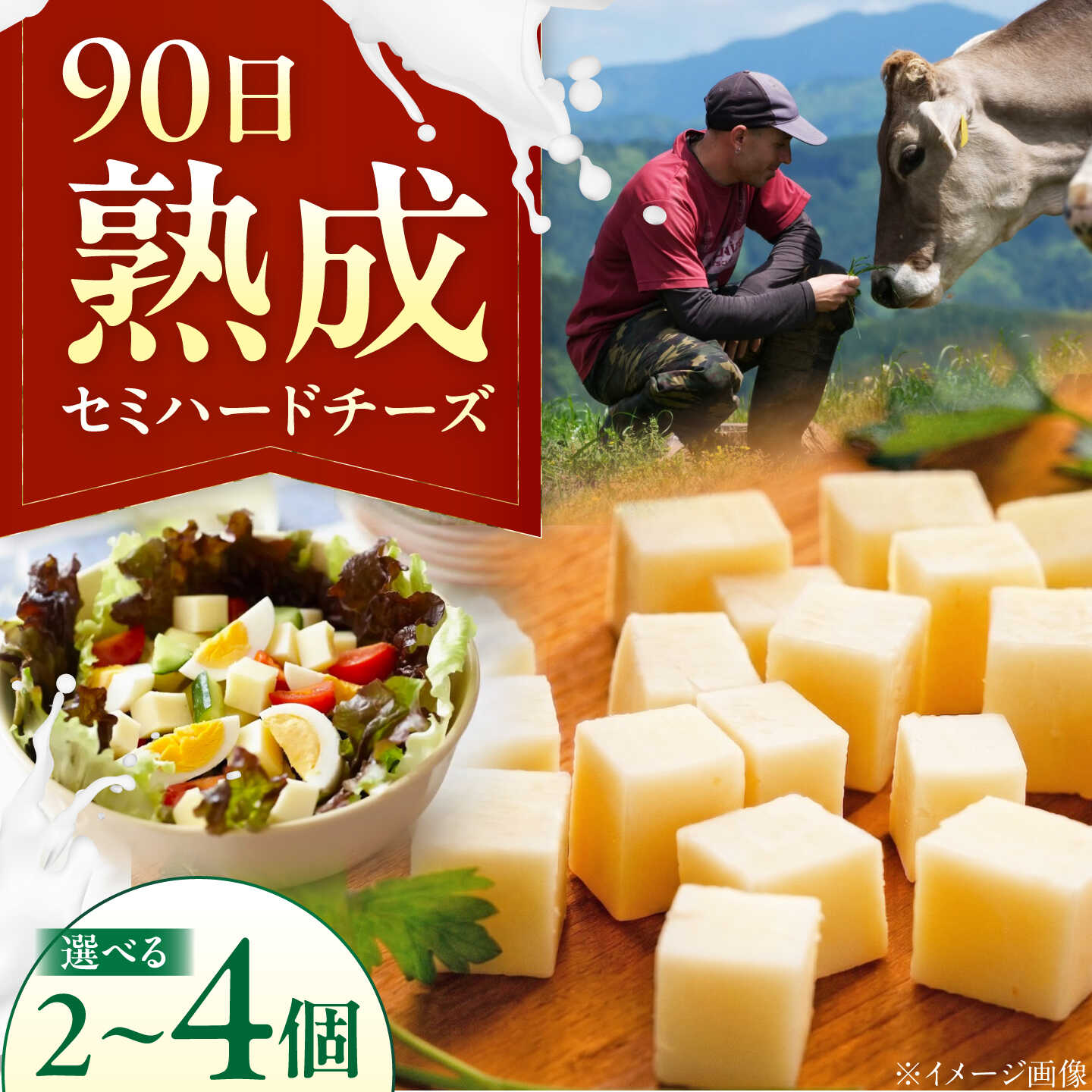 【ふるさと納税】【個数が選べる】山地放牧酪農ミルクのセミハードチーズ（UCHIKO180）2個・3個・4個セット/チーズ 愛媛県 伝統製法 おつまみ 乳製品/株式会社醍醐[BKAH009]