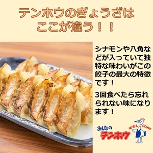 ぎょうざ 3パック[12粒×3パック] / テンホウ 冷凍 餃子 信州 長野県 諏訪市 諏訪 [21-07]