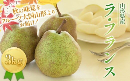 FYN6-427 ≪2026年先行予約≫山形県産 西洋梨 ラ・フランス 3kg (8～12玉) 2026年11月中旬から順次発送 洋梨 洋なし ラフランス 秋果実 果物 くだもの フルーツ ギフト 産地直送 山形県 西川町 月山