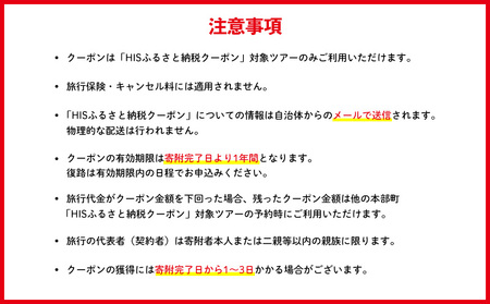 HISふるさと納税クーポン（沖縄県本部町）6万円分 観光 