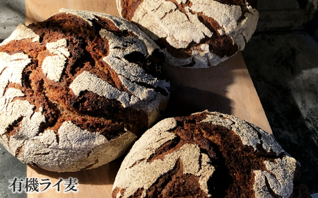 薪窯パン 有機古代小麦3種を使用したこだわりパン 有機古代小麦セレクションB 【 農家パン VERUM 】 ／ パン ぱん ブレッド ベーカリー 古代小麦 薪窯 薪窯焼き 薪窯焼 石窯パン 石窯 卵不