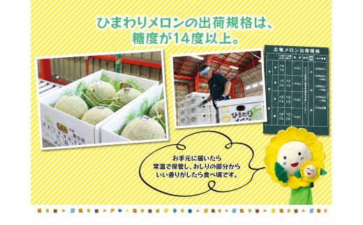ひまわり メロン 青肉 4〜6玉 / 高級 北海道 高糖度 甘い  ※7月上旬～8月上旬に順次発送 【sun514-ao-46A】