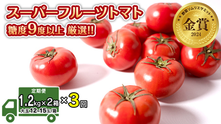 【 先行予約 】【 3ヶ月 定期便 】 スーパーフルーツトマト 中箱 約1.2kg × 2箱 【大玉 12～15玉/1箱】 糖度9度 以上 野菜 フルーツトマト フルーツ トマト とまと [AF044ci]