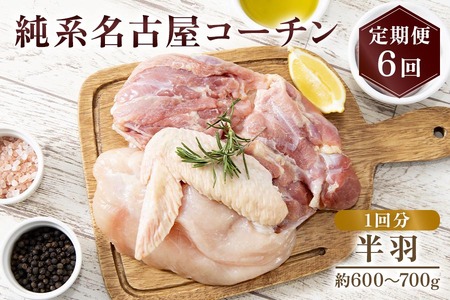 純系名古屋コーチン 定期便（半羽×6回） 