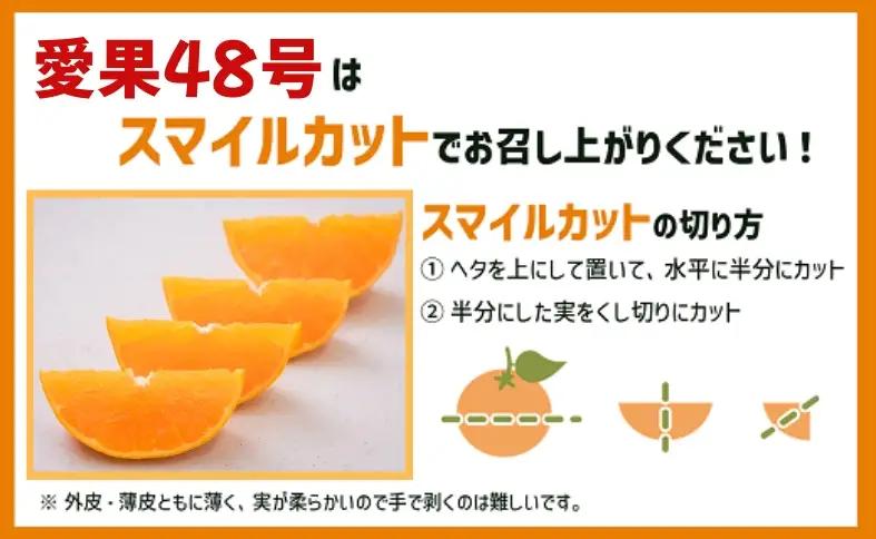 【2027年先行予約】みかん 愛果48号 3kg Mサイズ以上（みきゃん箱）紅プリンセス同一品種【2027年3月下旬から順次発送予定】 数量限定 愛媛県産 人気 柑橘 フルーツ 国産 おすすめ 伊予市