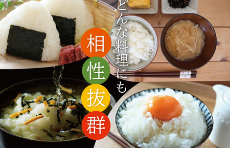 令和7年度産 特選米 コシヒカリ 20kg お米 MK7