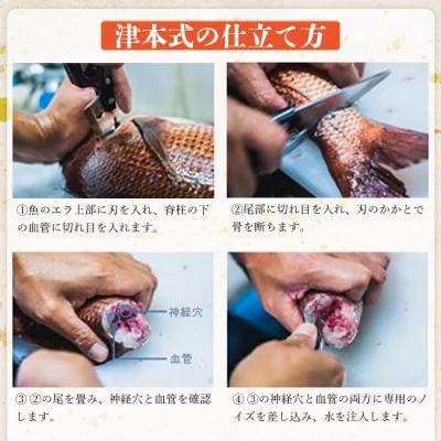 ふるさと納税 西予市 <津本式の血抜き×白寿真鯛 セミドレス 1尾(約1.5kg)>　尾頭付き　ギフト　愛媛　三瓶　お祝い |  | 01