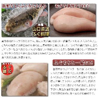 (1522)数量限定 限定 ふぐ 白子 とらふぐ白子 とらふぐ 小分け 1kg 訳あり わけあり 訳アリ