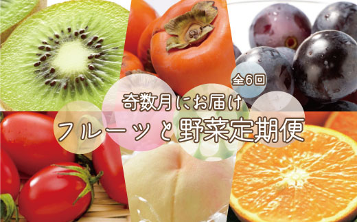 
            和歌山の旬の果実を 奇数月にお届け全6回定期便（キウイ・清見オレンジ・ミニトマト・桃・ピオーネ・富有柿）【TM62】
          