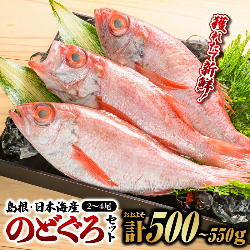 【ふるさと納税】【選べるセット】鮮魚セットD・F【計約500g～約550g or 計約1kg～約1.1kg】 漁解禁 受付再開 のどぐろ ノドグロ 島根 山陰 日本海産 魚介類 魚貝類 海産 海産物 おかず 下処理済 煮付け 焼き魚 焼魚 魚 さかな 鮮魚 新鮮 せんぎょ 厳選【YM-4】