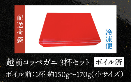 【先行予約】【数量・期間限定】越前コッペガニ（セイコガニ）3杯 セット【2024年11月13日より順次発送】