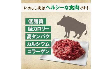 愛南ジビエ の 猪 ミンチ 肉 800g （ 200g × 4パック ） イノシシ 冷凍 真空 パック 国産 天然 猪肉 挽肉 ひき肉 ジビエ肉 ロース モモ 切り落とし 精肉 カルシウム 低カロリー