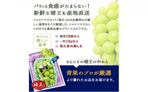 ぶどう 2026年  シャイン マスカット 晴王 1房 700g前後 ブドウ 葡萄 岡山県産 国産 フルーツ 果物 ギフト