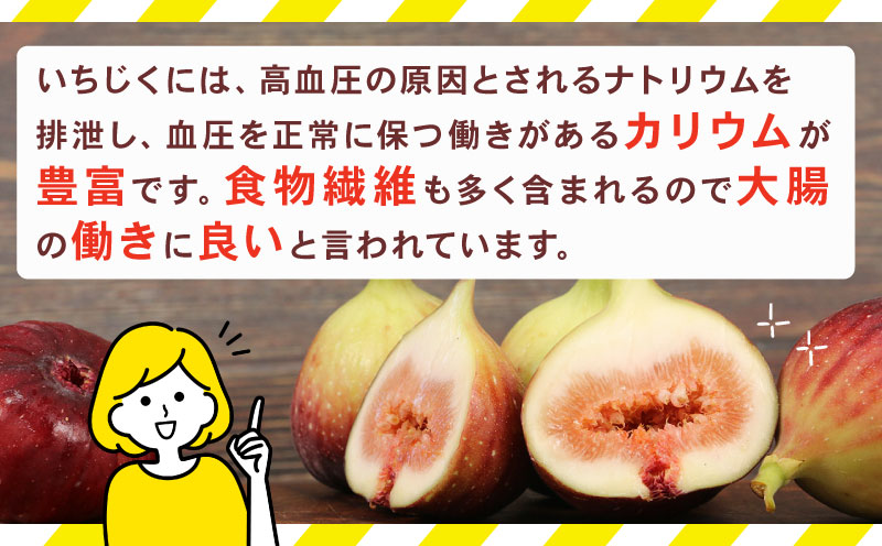 訳あり いちじく 1 ～ 1.2kg 南予ファーム 先行予約 訳有り イチジク わけあり 無花果 果物 くだもの フルーツ 果実 プチプチ 食感 甘い お菓子 スイーツ 作り ジャム スムージー デザ